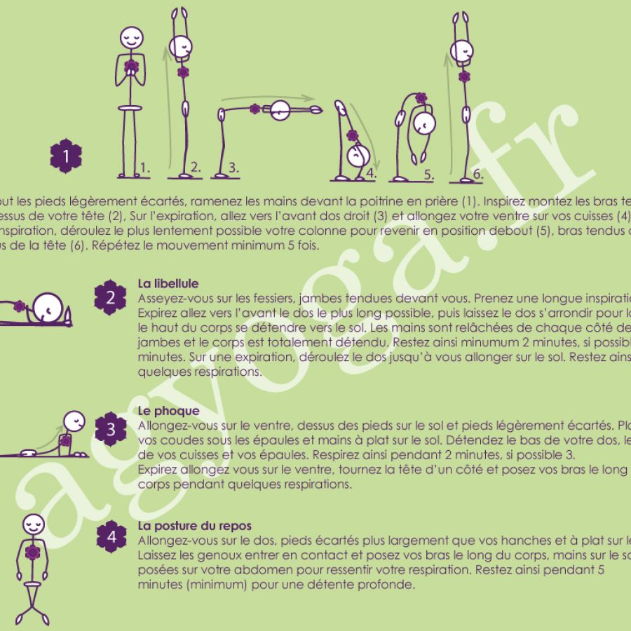 Fiche 6 – Yin yoga & détente