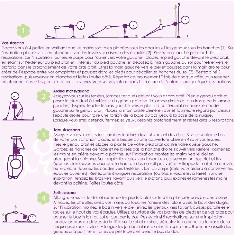 Fiche 7 – Renforcement musculaire et souplesse