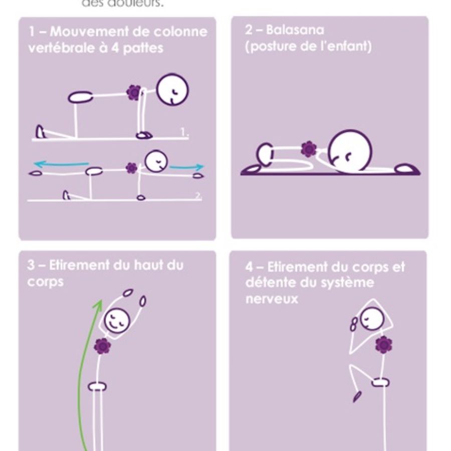 Fiche 36 – Pratique Adaptée Pour les Douleurs de Dos