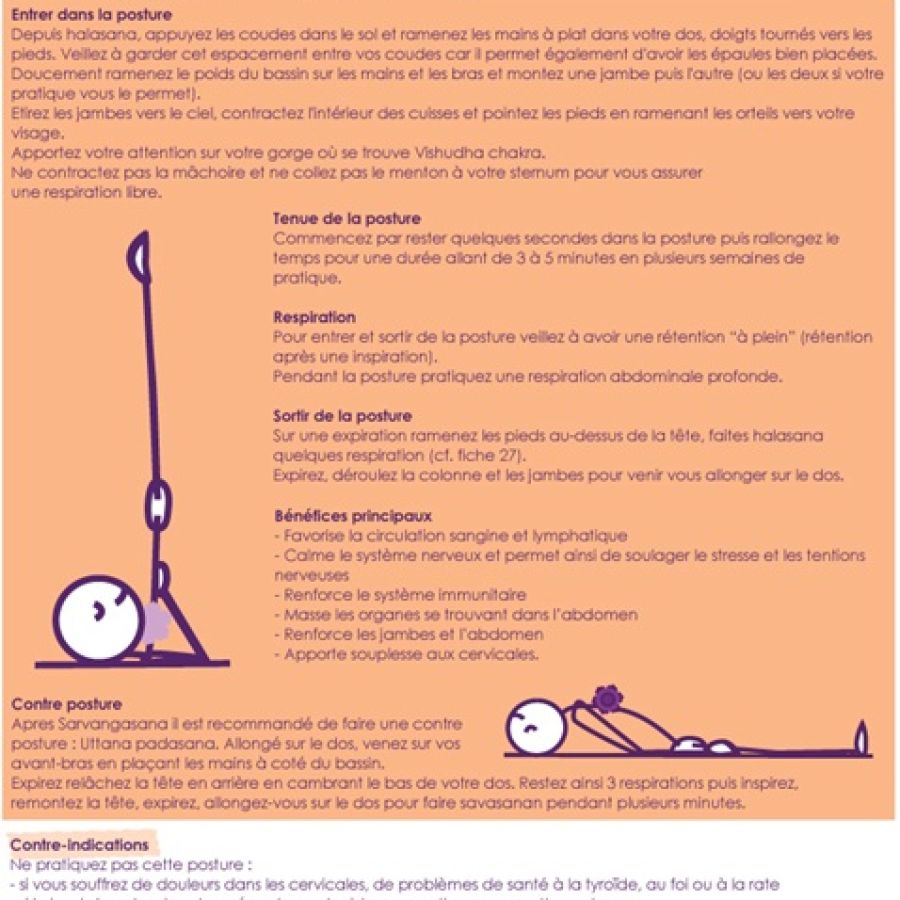 Fiche 28 – Postures Pour Sarvangasana