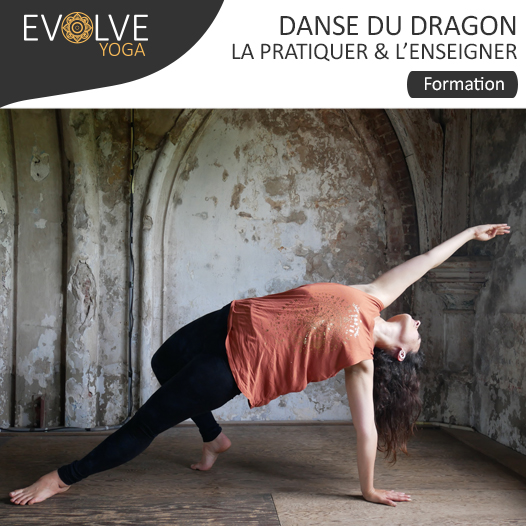 Danse du dragon : la pratiquer & l’enseigner ▲ 10 AU 12 MAI 2019 ▽ PARIS, FRANCE